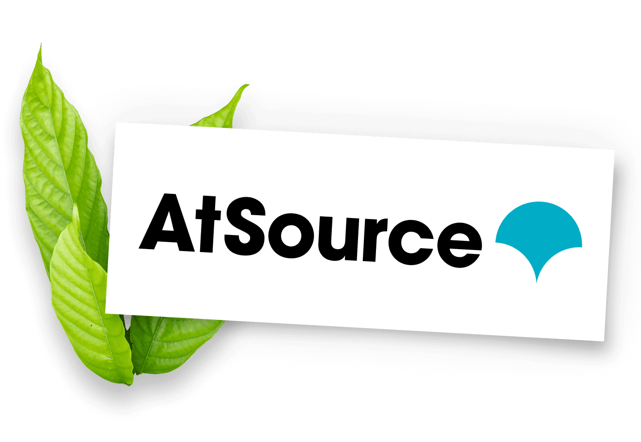 AtSource Logo