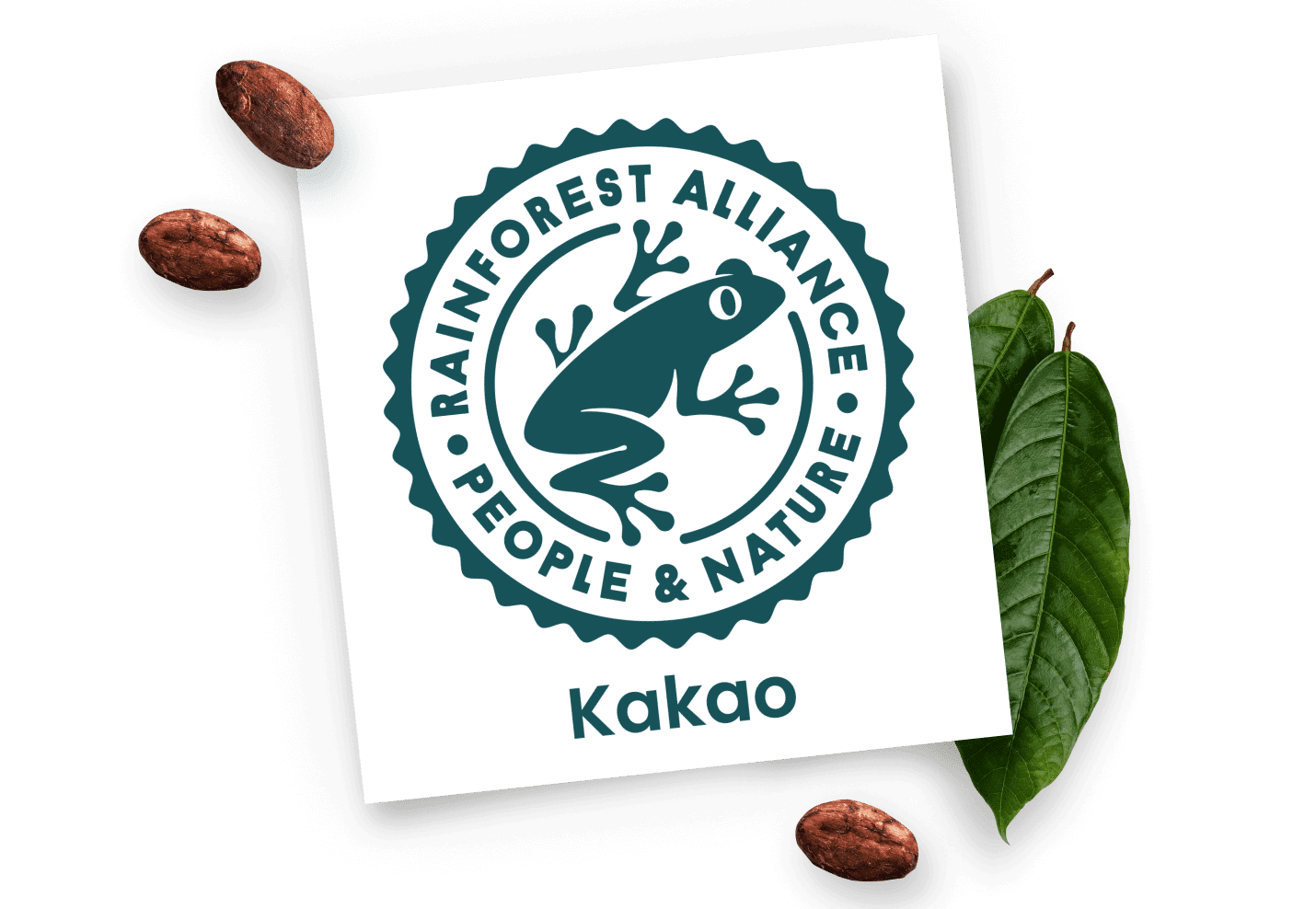 Rainforest Alliance Kakao Logo